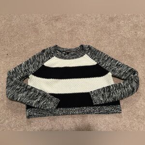 Express Cropped Sweater